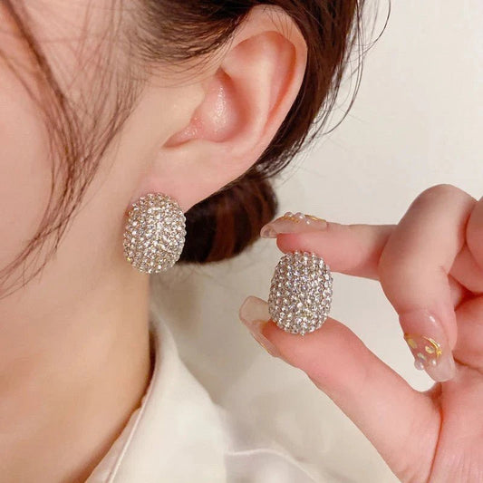 Exquisite and Super Sparkling Zircon Earrings
