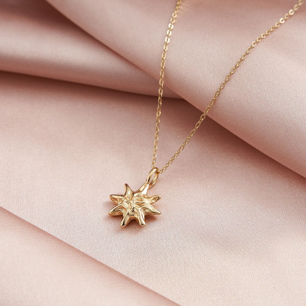 S925 Sterling Silver Hammered Star Pendant Necklace 14K Gold Plated Chain